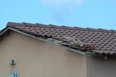 Klagtes oor Rosedale se huise